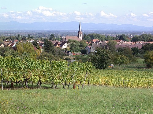 Rideau métallique Wuenheim (68500)