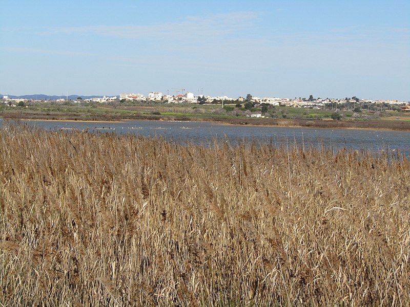 File:2018-02-07 The Lagoon, Praia dos Salgados Nature Reserve (2).JPG