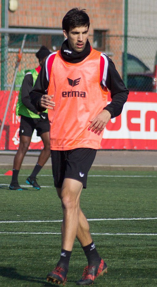 2018-02-22 Entrainement excel Nikola Gulan (cropped)