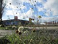 Hockenheim, Februar 2018