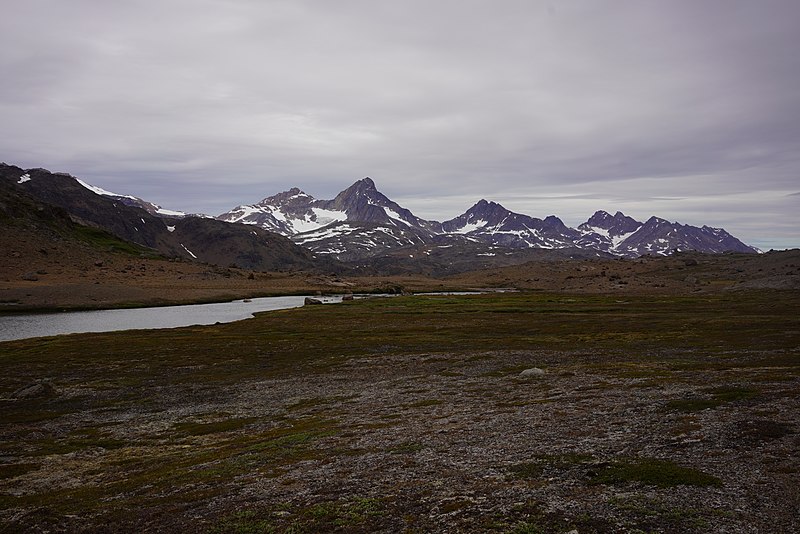 File:20190629 Praestefjeld-R 3745 (48501680412).jpg