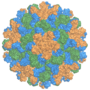 Miniatura per Virus inhibidor del tomàquet