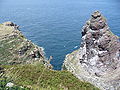 Blick auf den Vogelfelsen La Fauconniere-Das Cap Frehel ist ein Vogelschutzgebiet das viele Brutvogelarten beherbergt.-Cote de Emeraude,Village Plevenon