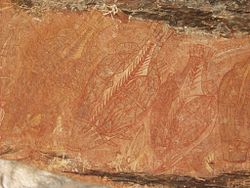 Indigenous Australian rock art depicting barramundi fish Aboriginal art barramundi rock art.jpg