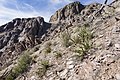 Above Bar Canyon - Flickr - aspidoscelis.jpg