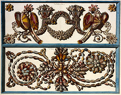 Shells by Albertus Seba (c. 1735).