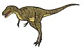 Alectrosaurus
