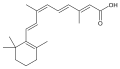 Минијатура за верзију на дан 00:03, 17. децембар 2006.