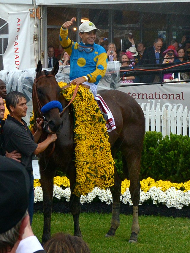 Mud in your eye: Always Dreaming wins Kentucky Derby in slop