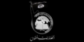 File:Ansar Bait al-Maqdis flag.png