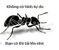 Hình xem trước của phiên bản lúc 23:18, ngày 1 tháng 9 năm 2012