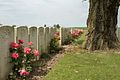 Arneke British Cemetery-6.jpg