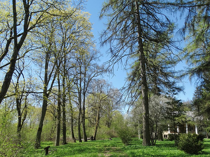 File:Aukštadvaris, dvaro parkas.JPG