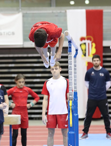 File:Austrian Future Cup 2018-11-23 Training Afternoon Parallel bars (Martin Rulsch) 0376.jpg