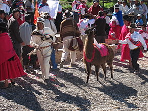 Aymara ceremony copacabana 4.jpg