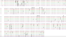 Cross examination of BAT5 amino acid sequence in humans and mice BAT5 protein human Amino Acid Sequence compared to BAT5 protein mice Amino Acid.png