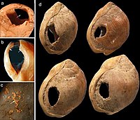 Paleolit: Paleolit dolny (ok. 2,5 mln lat – ok. 120 tys. lat temu), Paleolit środkowy (ok. 250 lub 200 tys. – ok. 40 tys. lat temu), Paleolit górny (ok. 40 tys. – ok. 14 tys. lat p.n.e.)