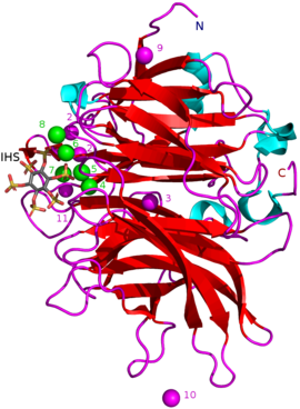 IHS-side.png көмегімен BPP 3AMR