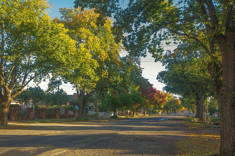 File:Ballarat Ascot street south.jpg