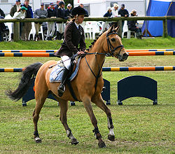 Hesteridning: Sitte på ryggen til en hest mens den beveger seg