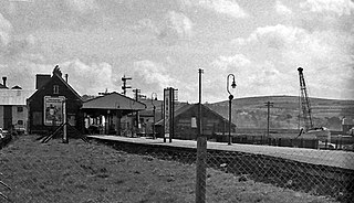 <span class="mw-page-title-main">Barnstaple Town railway station</span> Former railway station in Devon, England