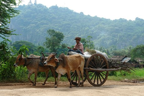 Provincia de Battambang