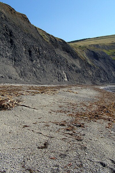 File:Beach at egmont bight dorset.jpg