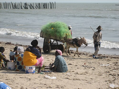 A donkey is led along the shore of the Atlantic Ocean near Saly/Senegal