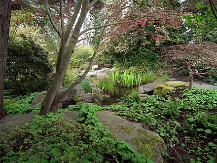 the Bellevue Botanical Garden