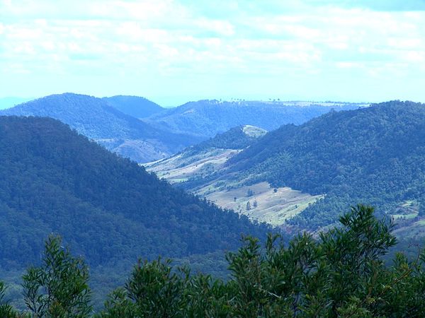 View north to Beechmont from Binna Burra, 2005.