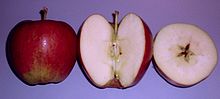 Braeburn apples, whole and sectioned. Braeburn.jpg