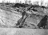 Brallier shale, Huntingdon County, Pennsylvania (Butc1163).jpg