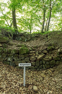 Ring wall of the castle