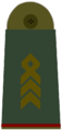 Oberstabsfeld­webel[A 10]