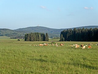 Oberpfälzer Wald