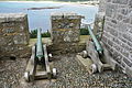 Cannon on St Michael's Mount (7606).jpg