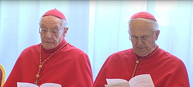 Cardinals Paul Poupard and Jozef Tomko in 2017.jpg