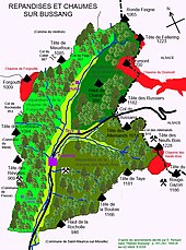 Bussang nyári legelőit ábrázoló vázlat, amelyet a Vosges-ban "chaumának" is neveznek. Bussang foltjai és elterjedései