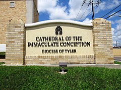 Cathedral of the Immaculate Conception - Tyler, Texas 10.jpg