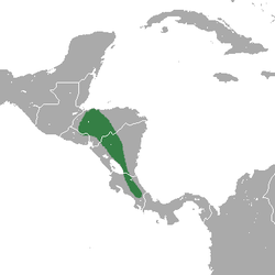 Central American Least Shrew area.png