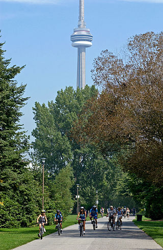 <span class="mw-page-title-main">Native trees in Toronto</span>