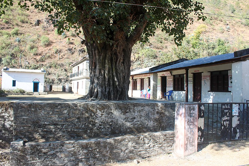 File:Chautari, Dana,Nepal--0553.jpg