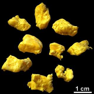 <span class="mw-page-title-main">Cheese curd</span> Unaged curdled milk product