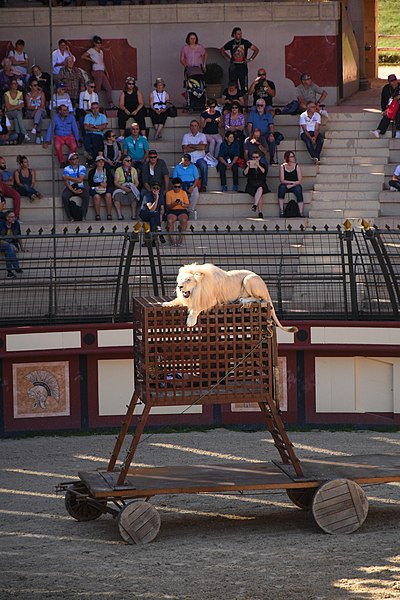 File:Colosseum - Roman Arena 67 - White Lion Waiting for Supper.jpg