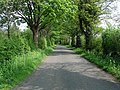 Country road between West Tanfield and Wath - geograph.org.uk - 419474.jpg
