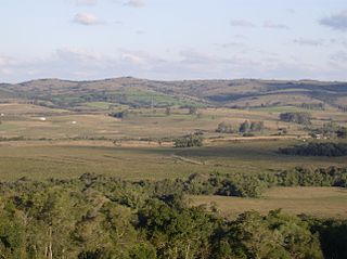 Uruguayan savanna terrestrial ecoregion in South America