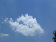 Cumulus: Formation, Espèces, Développement en cumulonimbus