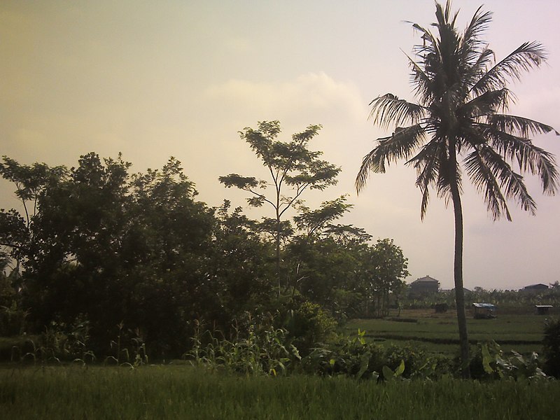 File:Curug Ilang, Berkoh, Purwokerto.jpg