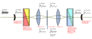 Differential Interference Contrast Microscopy