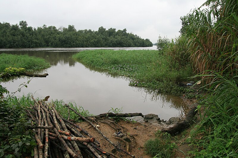 File:Deïdo Douala, photo by Sandrine Dole 2012 15.JPG